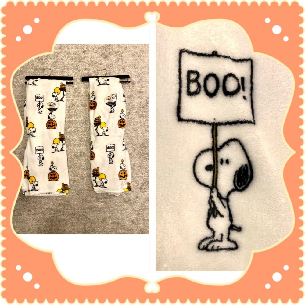 2 Peanuts Halloween Snoopy Woodstock VelvetSoft Throw Blankets Lot Berkshire